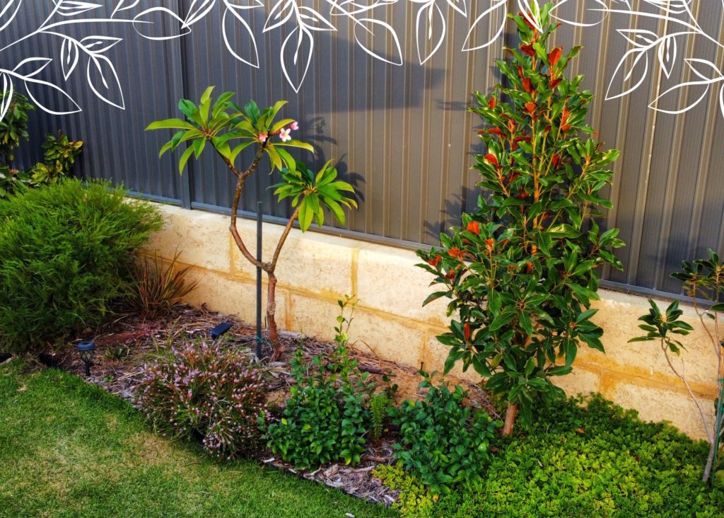 Pardon Your Garden | Gardening Service Perth