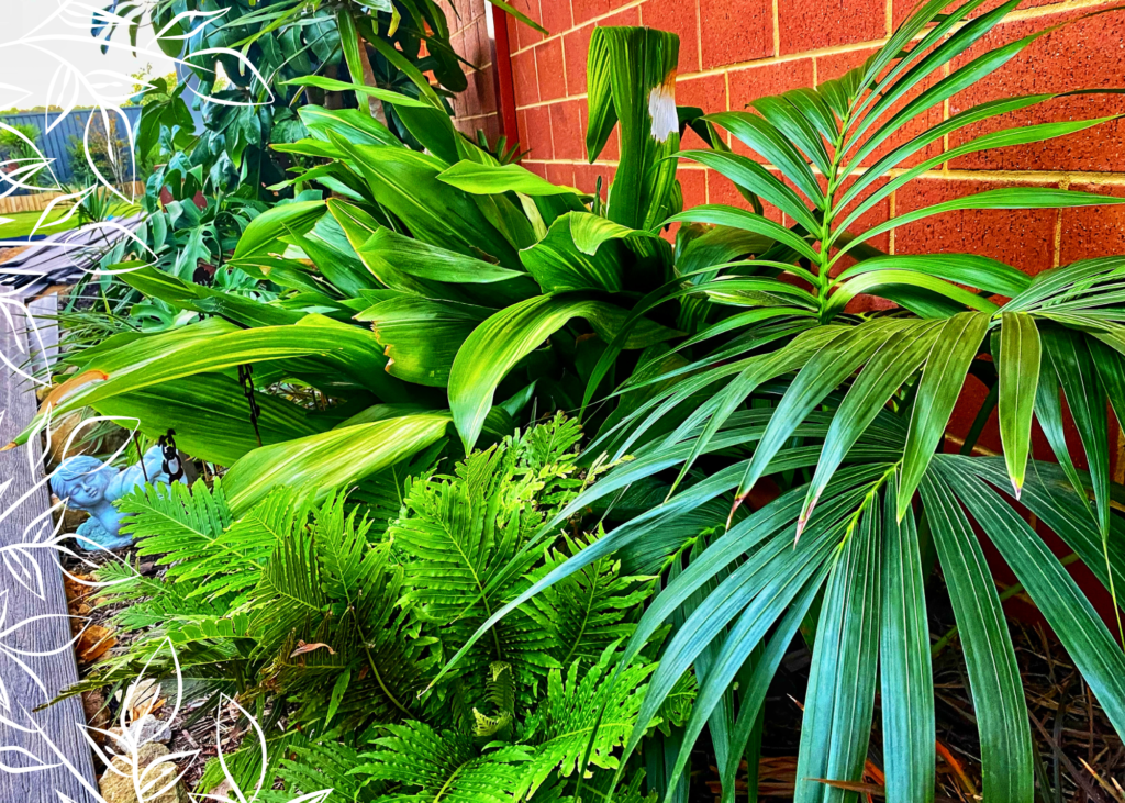 Pardon Your Garden | Gardening Service Perth