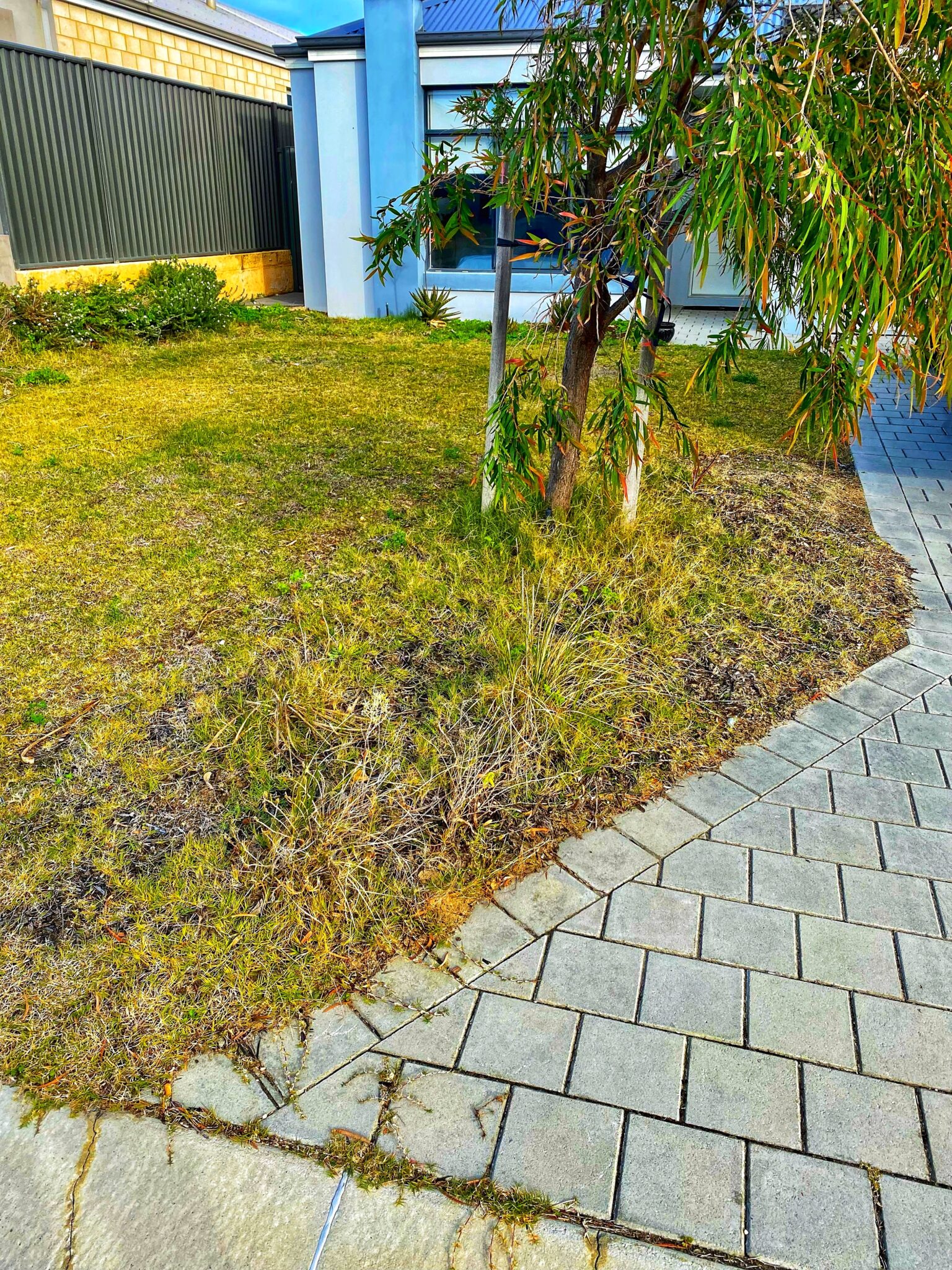 Pardon Your Garden | Gardening Service Perth