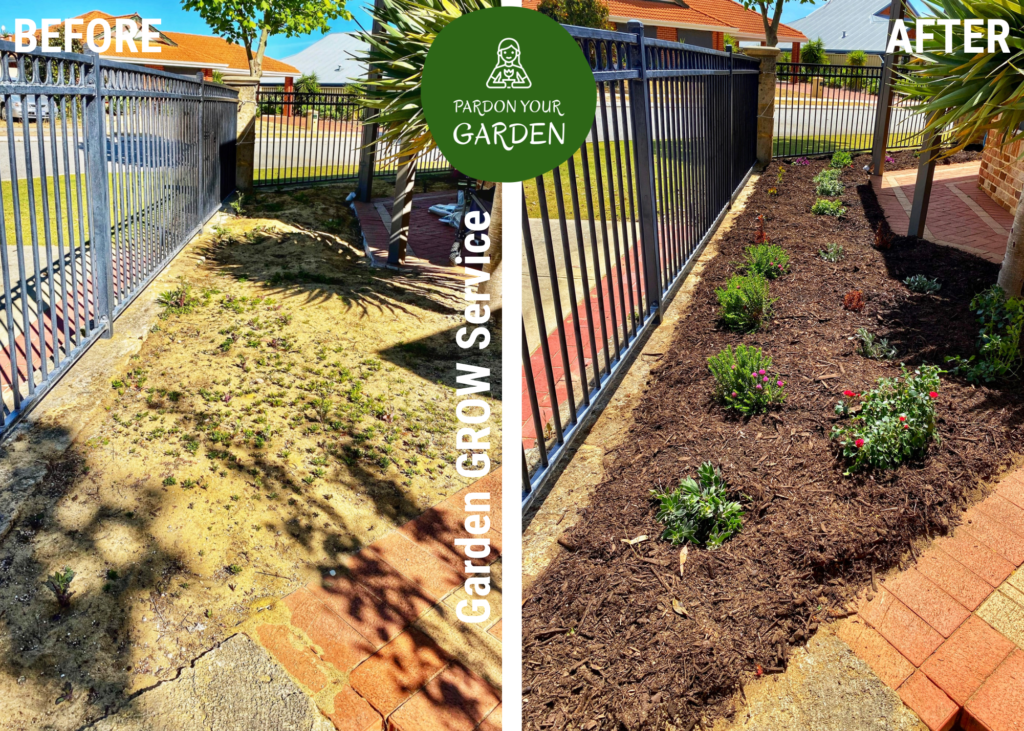 Pardon Your Garden | Gardening Service Perth