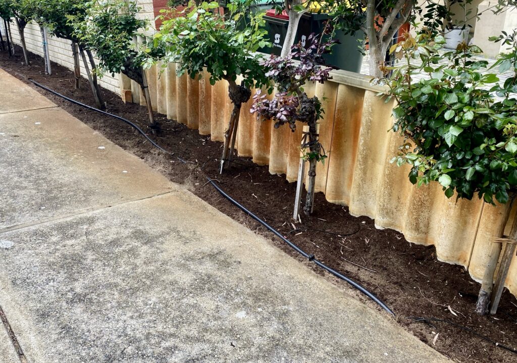 Pardon Your Garden | Gardening Service Perth