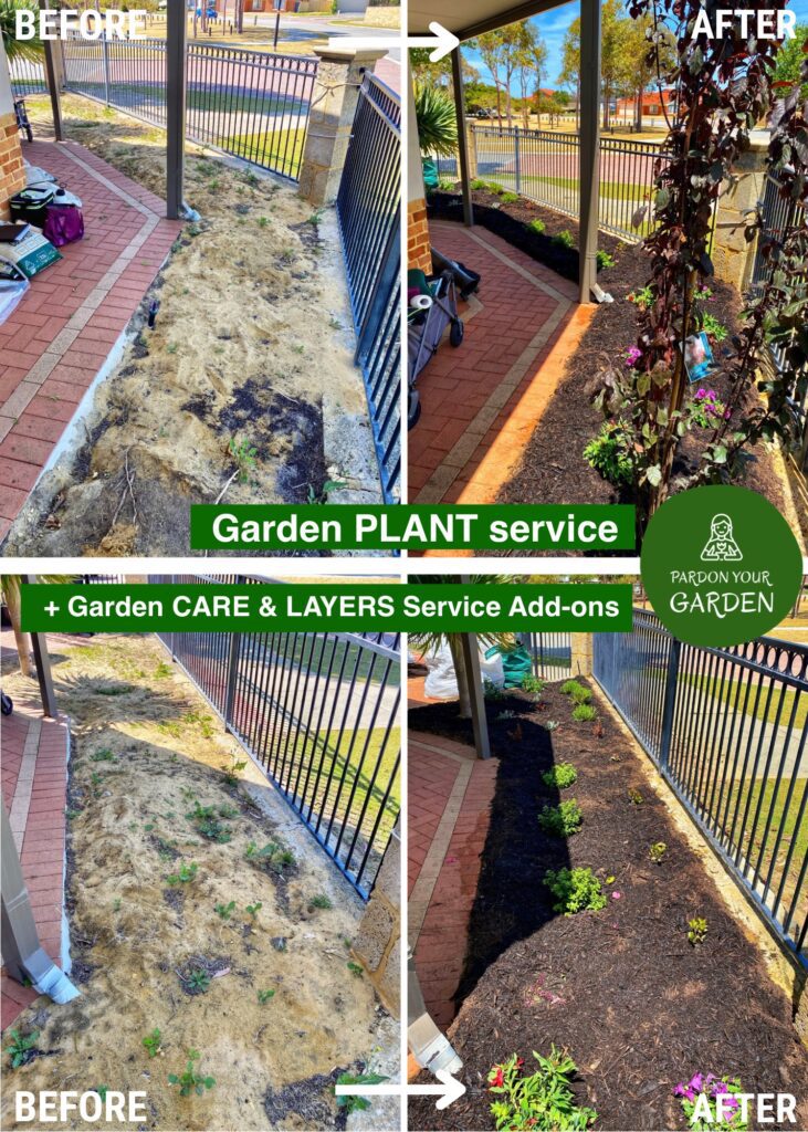 Pardon Your Garden | Gardening Service Perth