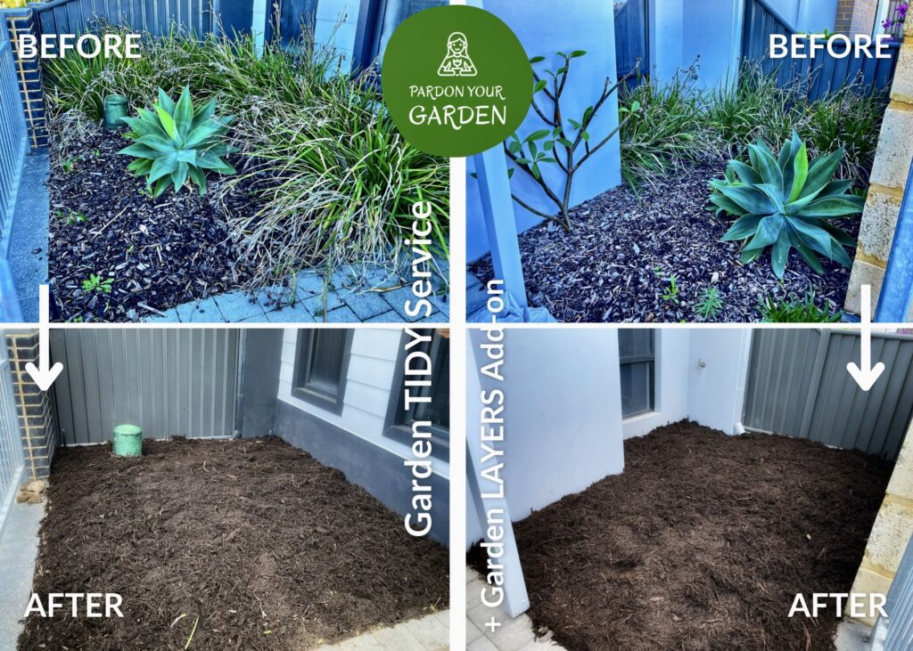 Pardon Your Garden | Gardening Service Perth